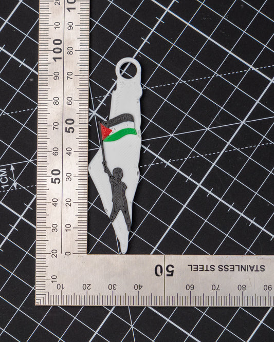 Palestine Map Keychain: 3D Printed Resin, Boy with Flag