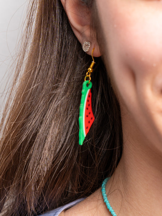 Palestine Map Watermelon Earrings: Silver-Plated Hypoallergenic Jewelry