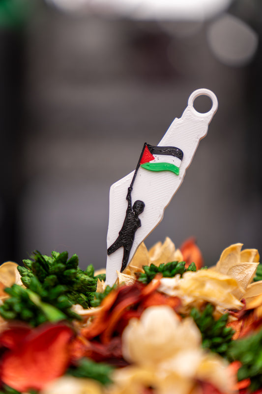 Palestine Map Keychain: 3D Printed Resin, Boy with Flag