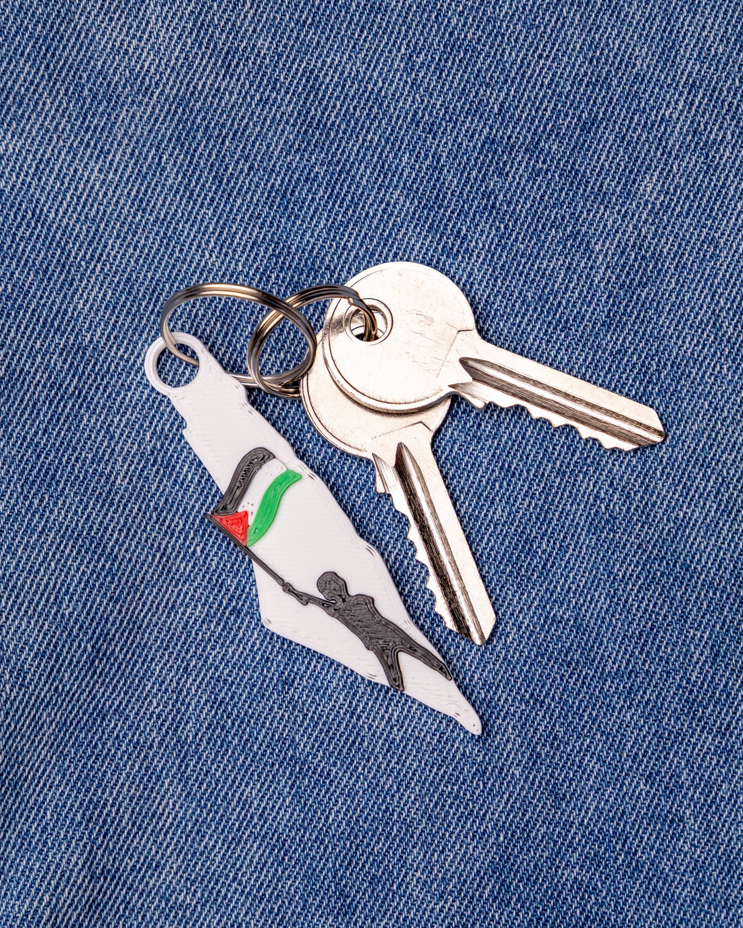 Palestine Map Keychain: 3D Printed Resin, Boy with Flag